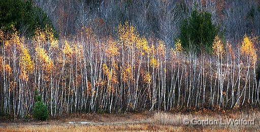 Bruce Pit_10295-6.jpg - Photographed at Ottawa, Ontario - the capital of Canada.